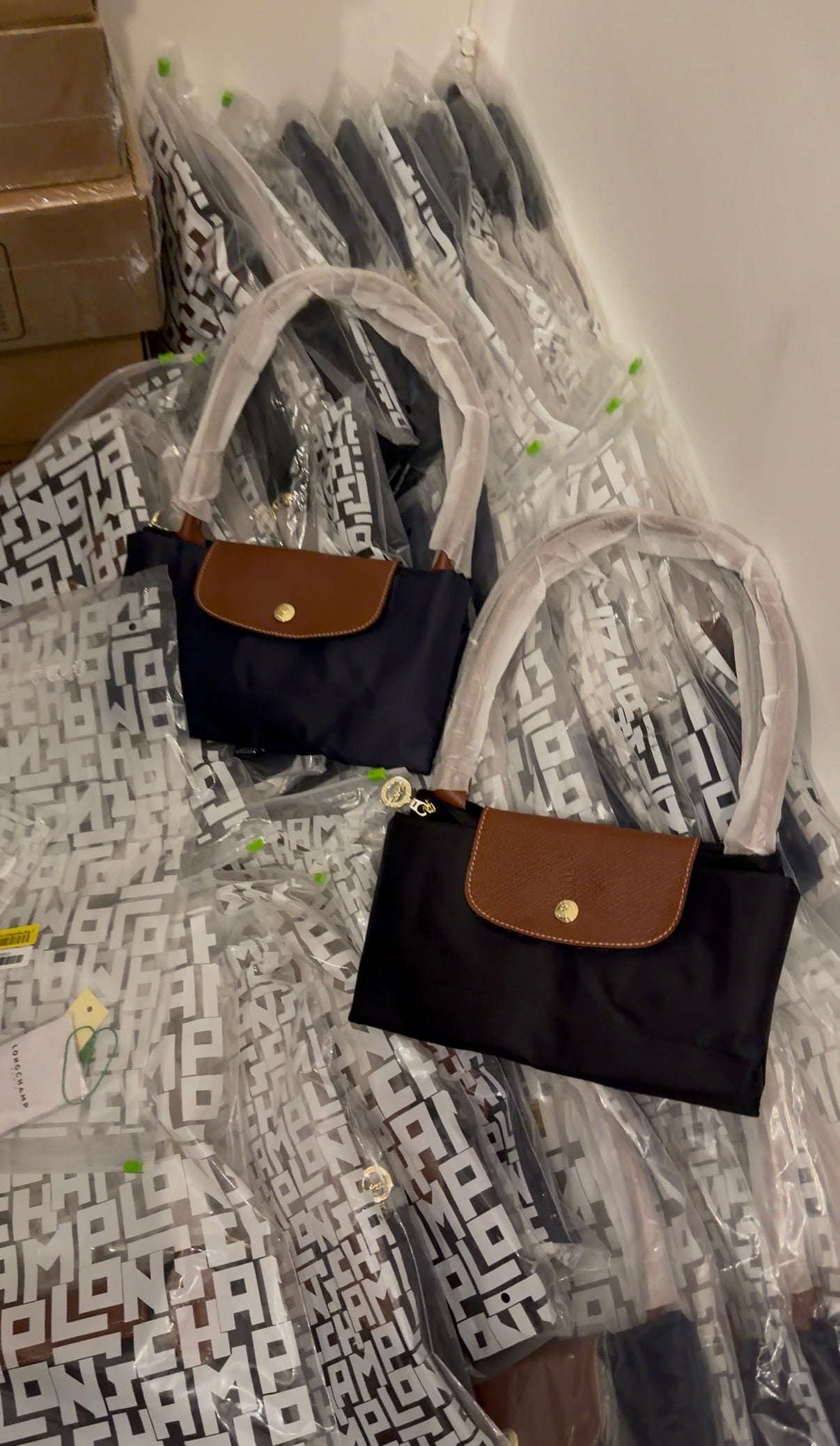 Longchamp Bags